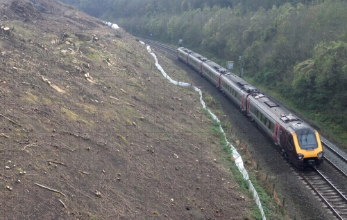 Tree & vegetation railway contracting services